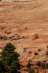 Patterns in the sandstone strata