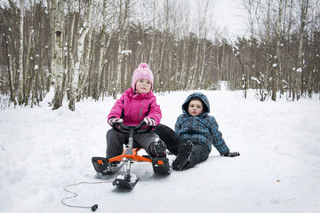 Fototapeta na wymiar Winter in the forest children sledding.