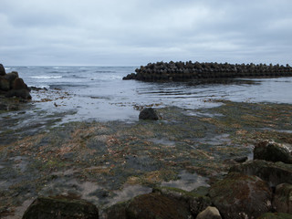 海岸の風景