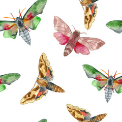 Watercolor seamless pattern with moth or sphingidae on white bbackground - 125883662
