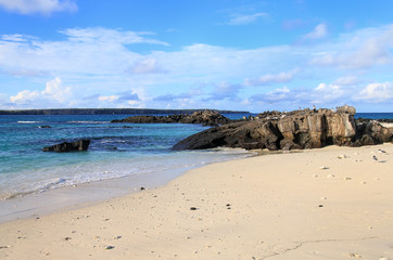 Sandy beach of Great Darwin Bay, Genovesa Island, Galapagos Nati