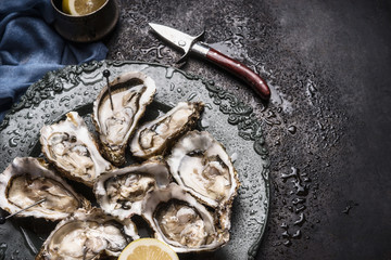 Open raw oysters on vintage plate with lemon and oysters knife, dark background, top view, close up