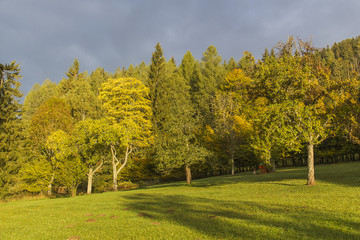 Naklejka premium Herbstfarben am Erlaufsee im Mariazellerland