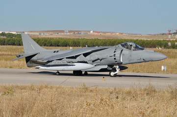 Harrier