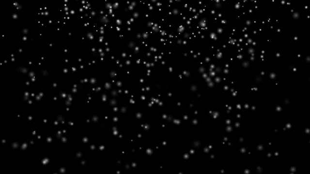 Falling snowflakes on the black background