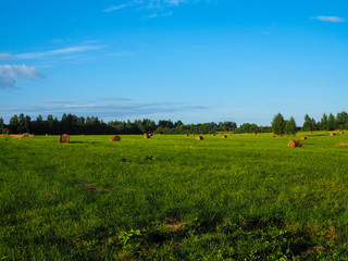 Field, Russia