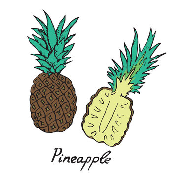 Pineapple and sliced piece, hand drawn doodle, sketch in pop art style, vector
