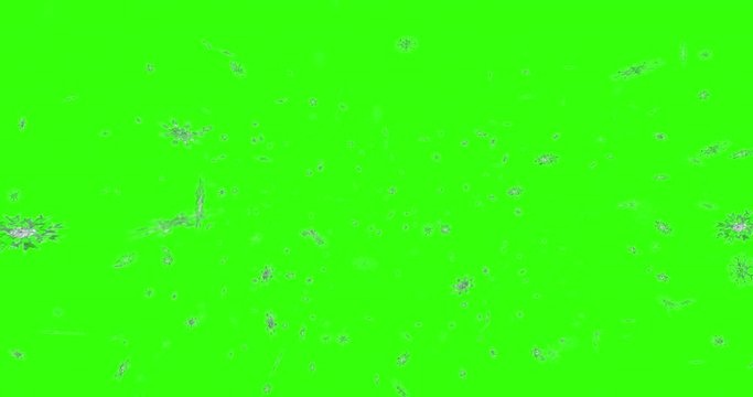 christmas snowflakes falling snow from top, winter holiday xmas with stars seamless loop on chroma key green screen background