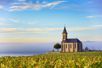 Vineyards and church of Saint Laurent d'Oingt at sunrise, Beaujolais land, France - Powered by Adobe