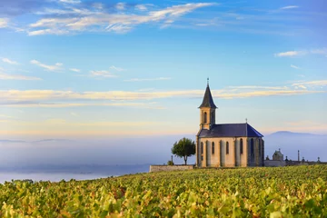 Schilderijen op glas Vineyards and church of Saint Laurent d'Oingt at sunrise, Beaujolais land, France © Gael Fontaine