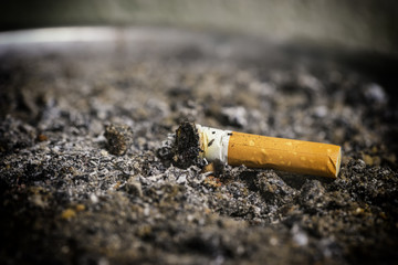 abstract cigarette butt on the sand bin with vintage filter