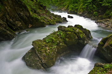 Obraz premium Curve in a mountain creek with a big rock in the middle at Vintgar gorge, slovenian alps, Slovenia