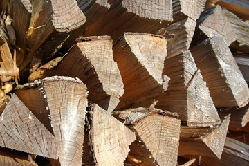 Holz 