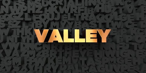 Valley - Gold text on black background - 3D rendered royalty free stock picture. This image can be used for an online website banner ad or a print postcard.