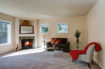 Typical American living room interior design