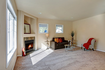 Typical American living room interior design