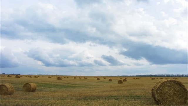 landscape with harvested bales of straw in field - timelapse 4k
