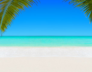 Tropical white sandy palm beach and clear ocean water background