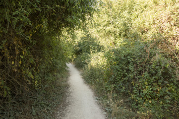 Camino de Santiago from Pamplona to Puente la Reina