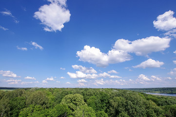 Fototapeta na wymiar Lithuania forest and cloudy sky above