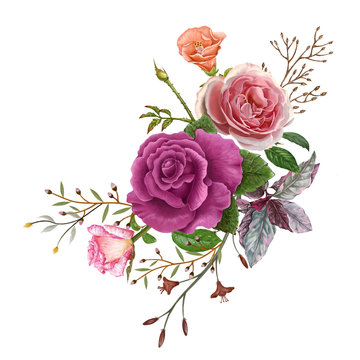 illustration of beautiful flower  on  white background