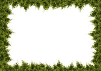 Christmas background with winter forest of Christmas trees