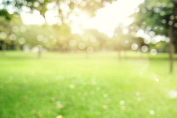 defokussierter Bokeh-Hintergrund von Gartenbäumen am sonnigen Tag