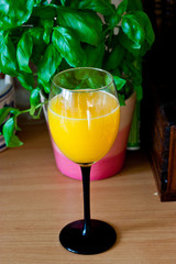 domowy sok pomarańczowy - obrazy, fototapety, plakaty