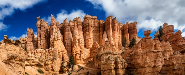 Afwasbaar Fotobehang Canyon Bryce Canyon hoodoos Navajo Trail, Utah