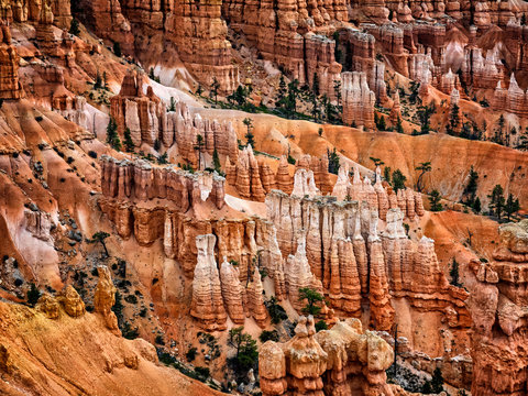 Bryce Canyon hoodoos, Utah