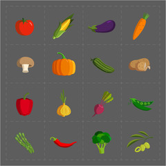Colorful Vegetable Icon Set on Grey Background 