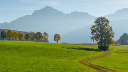 Wiese mit Weg und Bäumen im Herbst