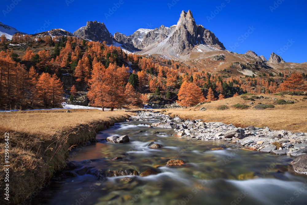 Fototapete The river Claree  and Pointe des Cerces in Vallee de la Claree during a clear day in autumn.
