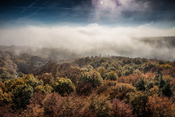 Nebel im Herbstwald 