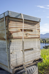 Front View of Bee Hive