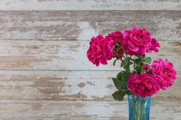Still life with pink roses flower in blue vase on grunge wooden