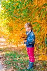 Little girl with yellow autumn golden leaves. Child play outdoors in the park.