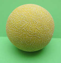 Melon Galia fruit