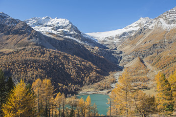 Blick von der Alp Grüm auf den Palü-Gletscher am Berninapass, Graubünden, Schweiz