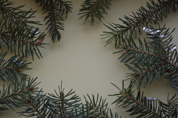 Fototapeta na wymiar green spruce branch brilliant decoration, background, frame, winter, new year, greetings, greetings