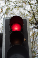 Traffic light at stop