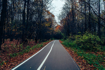 Fototapeta premium Осенний парк. 11