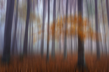 Abstract forest in autumn time in motion blur.