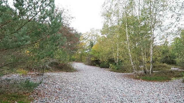 flint stone field of Neu Mukran (Rugen island), Germany. Feuersteinfeld.