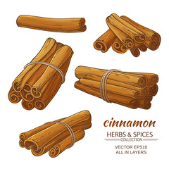 cinnamon vector set