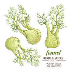 fennel vector set