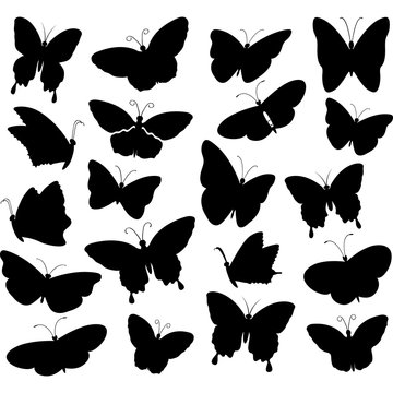Black Butterfly Collections.Butterfly Silhouette.Invitations