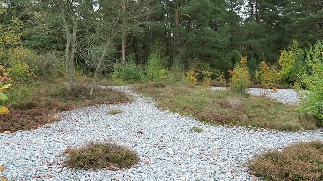 flint stone field of Neu Mukran (Rugen island), Germany. Feuersteinfeld.
