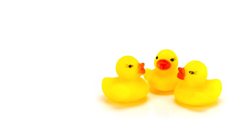 Yellow toy rubber duck mouth, red - Stuffed duck white backgroun