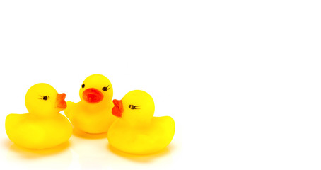 Yellow toy rubber duck mouth, red - Stuffed duck white backgroun